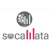 Socamata Statistics Consultant logo